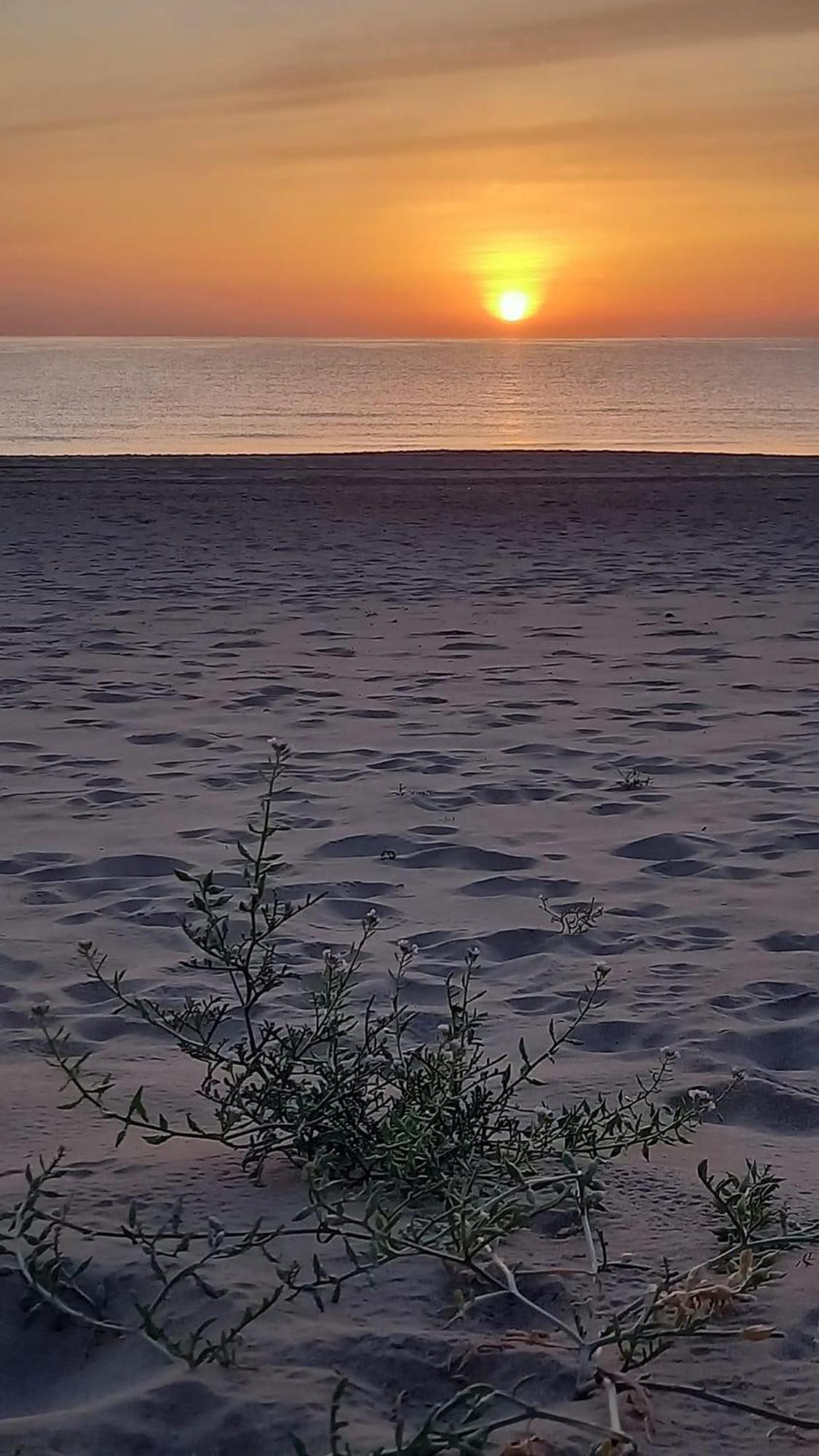 Vivienda En Playa Casa de Férias El Campello